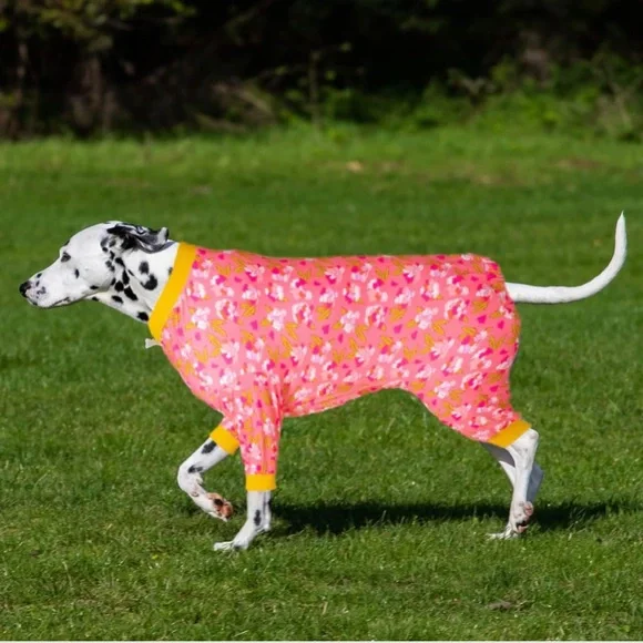 LovinPet Dog Onesies for Medium Dogs, Post Operative Protection Dog Pajamas, XXL - Picture 6 of 6